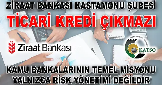 Ziraat Bankası Kastamonu Şubesi Ticari Kredi Çıkmazı Kamu Bankalarının Temel Misyonu Yalnızca Risk Yönetimi Değildir