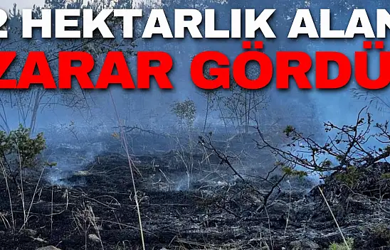2 Hektarlık Alan Yangında Zarar Gördü!