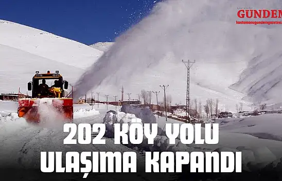 202 Köy Yolu Ulaşıma Kapandı