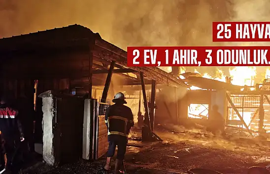 25 hayvan ve 2 ev yandı!