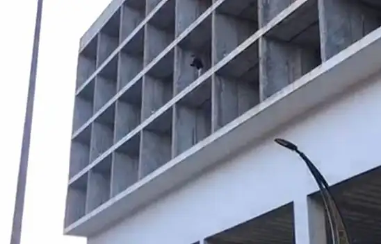 309 Bin TL Ceza Yiyen Sürücü İnşaata Çıktı