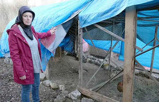 Sokak Köpekleri Hayallerini Kararttı