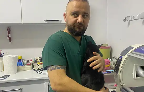6. Kattan Düşen Kedinin Kaval Kemiği Kırıldı