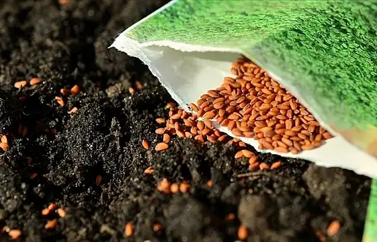 64 Yerli Tohum Çeşidi Daha Tarıma Kazandırıldı