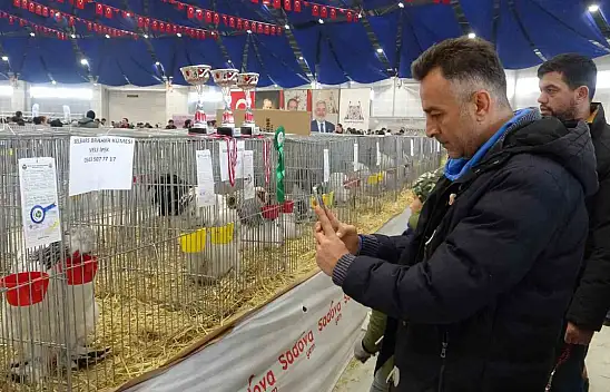7. Ulusal Kümes Hayvanları Gösterisi