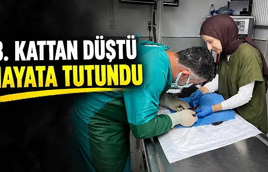 8. Kattan Düştü, Hayata Tutundu