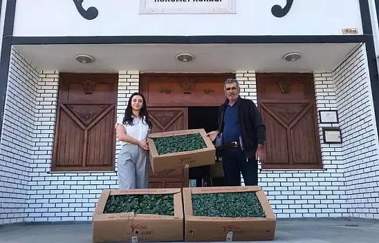Abana'da Çiftçilere 20 Bin Sebze Fidesi Dağıtıldı