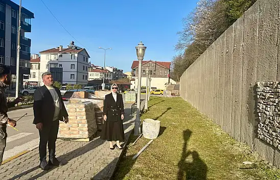 Abana'da Sokak Sağlıklaştırma Çalışmaları Sürüyor