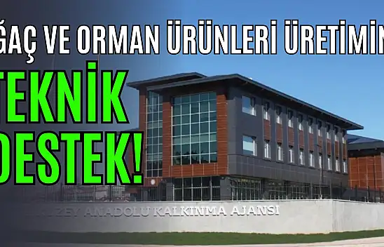 Ağaç ve Orman Ürünleri Üretimine Teknik Destek