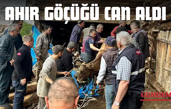 Ahır Göçüğü Can Aldı