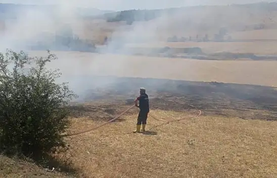Arazi Yangınında 2 Dekar Alan Zarar Gördü