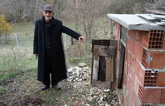 Ayı Tavukları Telef Etti