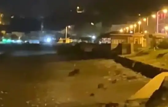 Ayılar sahile indi