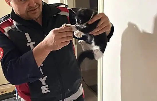 Baca Deliğine Düşen Kedi Kurtarıldı