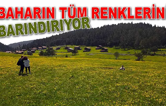 Baharın Tüm Renklerini Barındırıyor