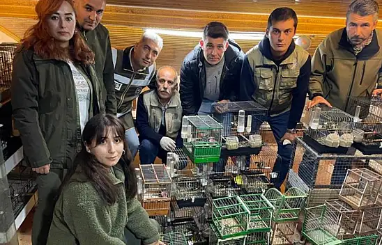 Bartın'da Yasadışı Üretimde Kullanılan Kuşlara El Konuldu