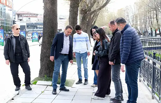 Başkan Baltacı, Çay Boyunda İncelemelerde Bulundu