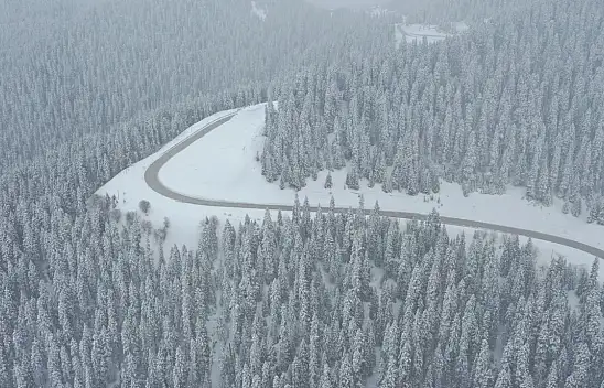 Beyaza Bürünen Ormanlar Dronla Görüntülendi
