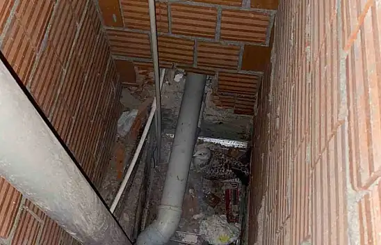 Martı Bina Boşluğunda Mahsur Kaldı