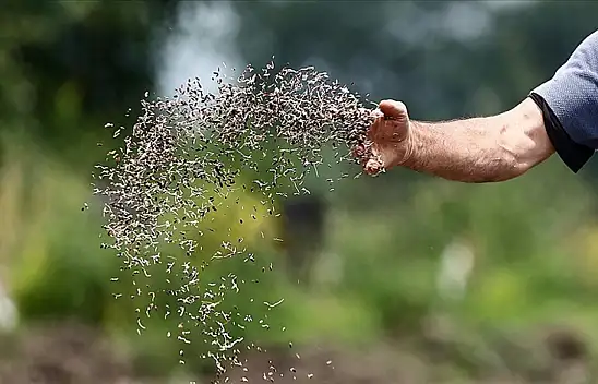 Bitki Çeşitlerine İlişkin Esaslar Belirlendi