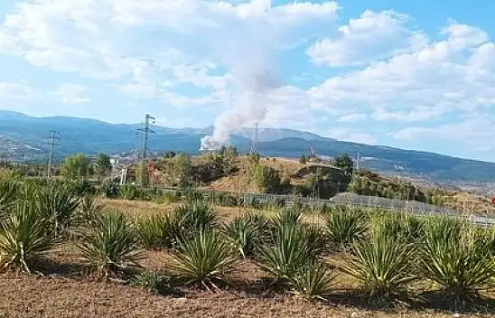 Çankırı'da Orman Yangını
