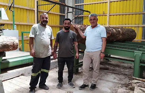 Çatalzeytin'den istihdam adımı