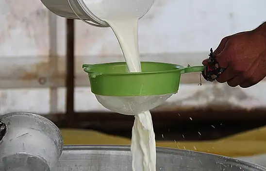 Çiğ Süt Üretimi Azaldı