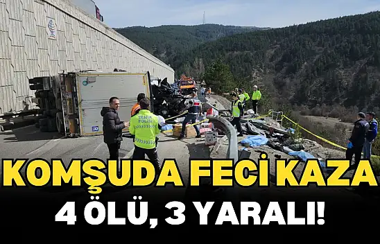 D100'de Tır Arızalanan Aracın Üzerine Devrildi: 4 Ölü, 2'si Polis 3 Yaralı