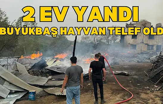 Daday'da 2 Ev Yandı, 4 Büyükbaş Hayvan Telef Oldu