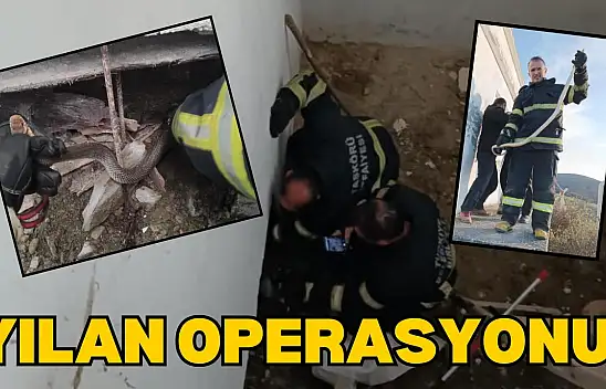 Depoya Giren Yılanı İtfaiye Yakaladı!