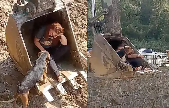 Dereye Düşen Köpek Kurtarıldı