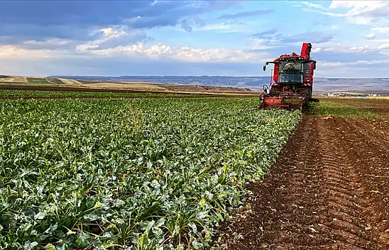 Destekleme Ödemeleri Hesaplara Aktarıldı