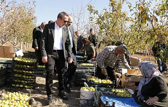 Deveci Armudunda Hasat Zamanı