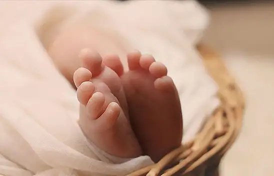 Doğurganlık Hızına Yönelik Çalışma Grubu Kurulacak