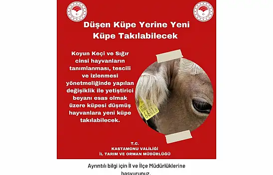 Düşen Küpe Yerine Yenisi Takılabilecek