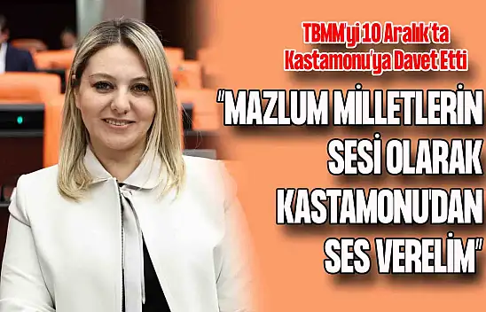 Ekmekci Meclis'te Konuştu: 10 Aralık'ta Kastamonu'ya Davet
