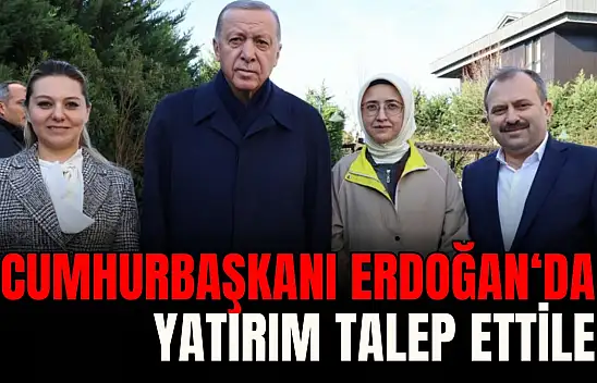 Ekmekci ve Uluay Cumhurbaşkanı Erdoğan ile Görüştü