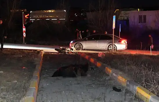 Feci Kaza Can Aldı