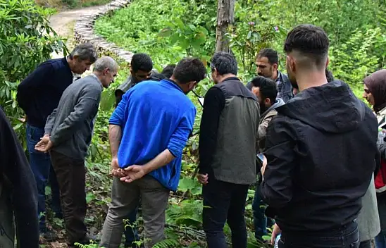 Gal Arılarına Karşı Biyolojik Mücadele Sürüyor