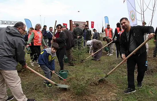 Şehit Orman Görevlileri Anısına Fidan Dikildi