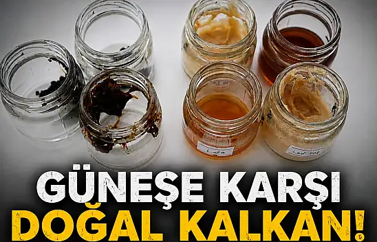 Güneşe Karşı Doğal Kalkan!