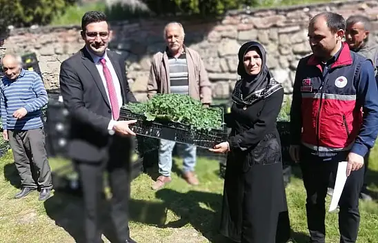 Hanönü'de Çiftçilere 30 Bin Fide Dağıtıldı