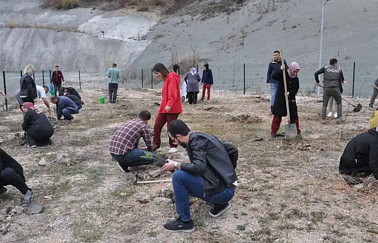 Hastane Bahçesine 150 Fidan Dikildi