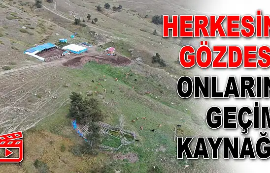 Herkesin Gözdesi Onların Geçim Kaynağı