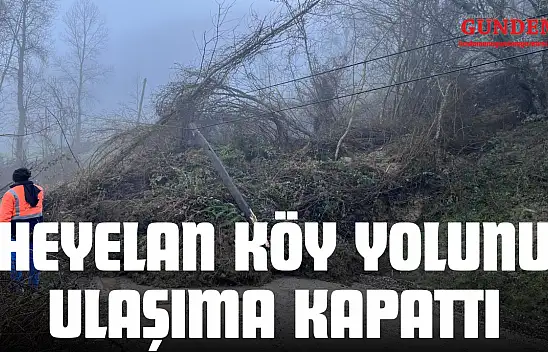Heyelan Köy Yolunu Ulaşıma Kapattı