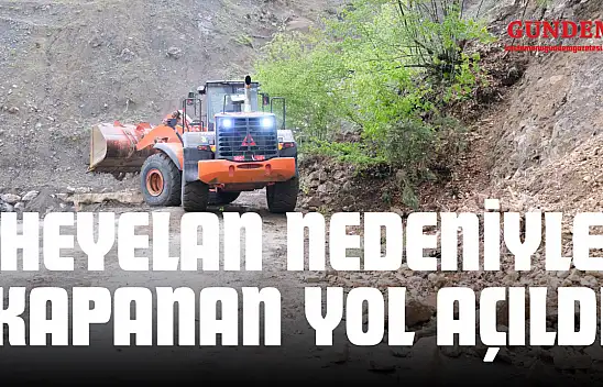 Heyelan Nedeniyle Kapanan Yol Açıldı