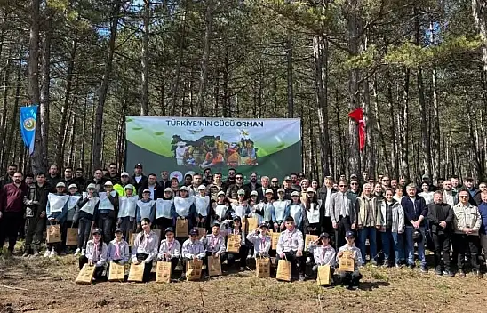 İhsangazi'de 'Dünya Ormancılık Günü' Etkinliği Düzenlendi