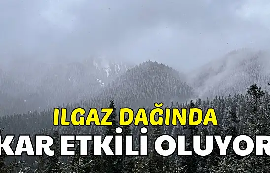 Ilgaz Dağı'nda Kar Yağışı Etkili Oldu