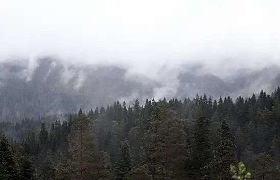 Ilgaz Dağı'nda Sis Etkili Oldu