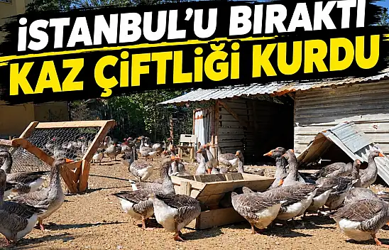 İstanbul'u Bıraktı, Kaz Çiftliği Kurdu!